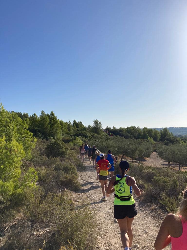 Le trail de l'or vert et ses pépites - Mouriès
